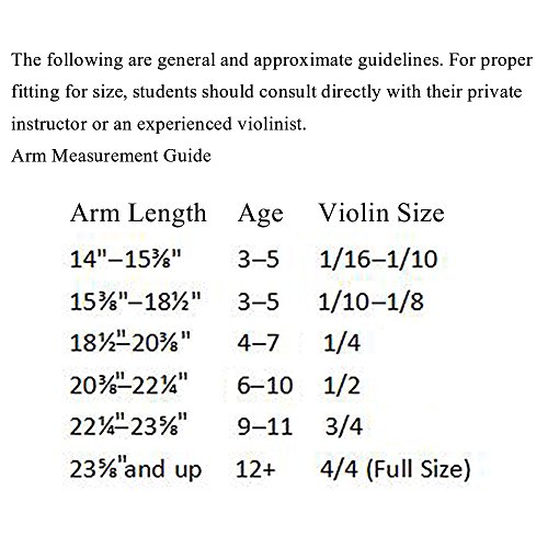 TLY Antique Solid Wood Handmade Matt Varnish Violin for Beginners | 해외직구는 플라이굿! 빠르고 저렴한 해외쇼핑 TLY... 